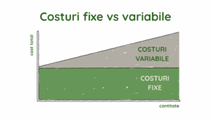 raport costuri fixe versus costuri variabile